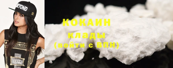 тгк Горняк