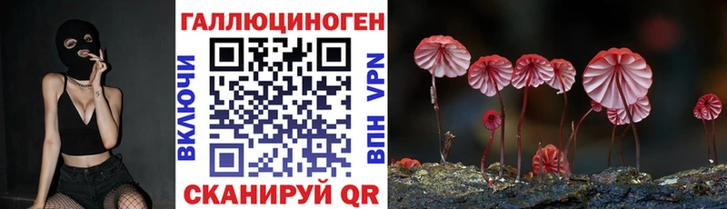 Псилоцибиновые грибы GOLDEN TEACHER  кракен маркетплейс  Меленки 